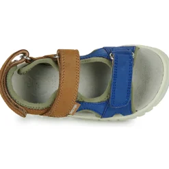 Shoo Pom - ROLLY BOY SCRATCH