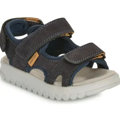 Shoo Pom - ROLLY BOY SCRATCH