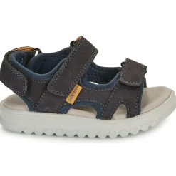 Shoo Pom - ROLLY BOY SCRATCH