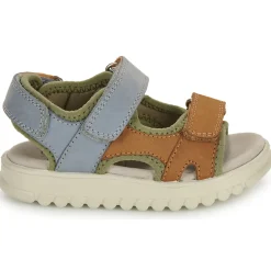 Shoo Pom - ROLLY BOY SCRATCH