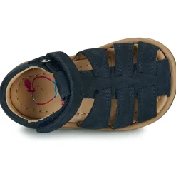 Shoo Pom - TITY TONTON