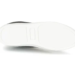 Sixth June - NATION WIRE