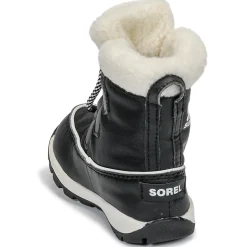 Sorel -