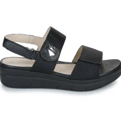 Stonefly - AQUA III 12