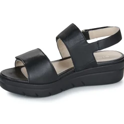 Stonefly - AQUA III 12