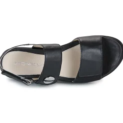 Stonefly - AQUA III 12