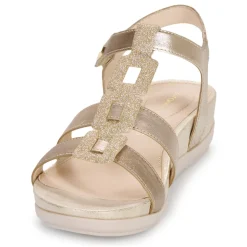 Stonefly - EVE 24 LAMINATED LTH