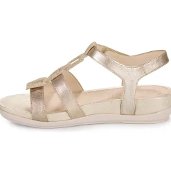 Stonefly - EVE 24 LAMINATED LTH