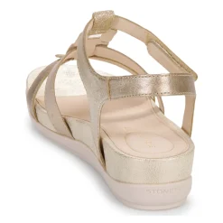 Stonefly - EVE 24 LAMINATED LTH