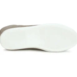 Swamp - MONTONE SUEDE