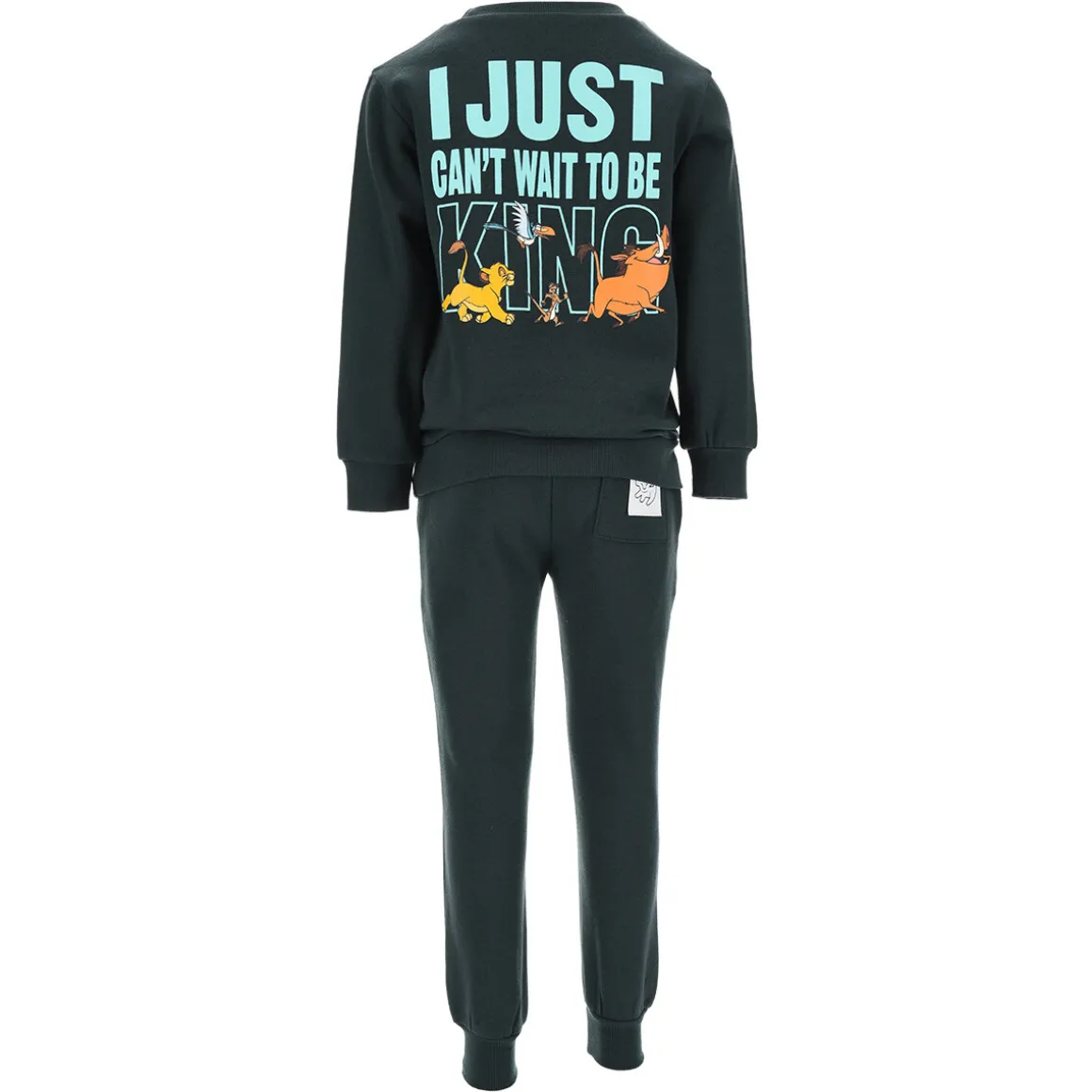 TEAM HEROES - ENSEMBLE JOGGING ROI LION