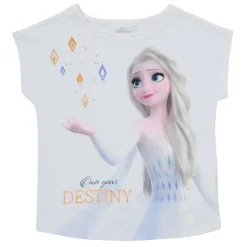 TEAM HEROES  - FROZEN SET