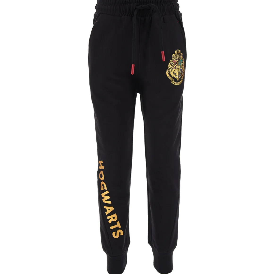 TEAM HEROES - JOGGING HARRY POTTER