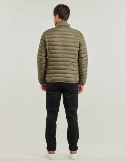 Teddy Smith - BLIGHT