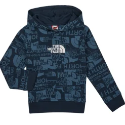 The North Face - BOYS DREW PEAK LIGHT P/O HOODIE