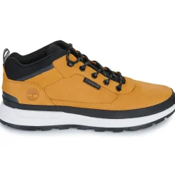Timberland - FIELD TREKKER