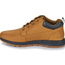 Timberland - KILLINGTON TREKKER LOW LACE UP