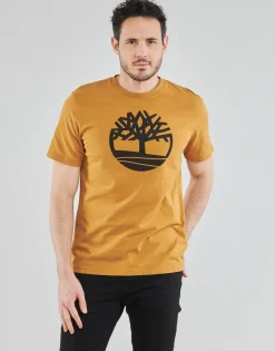 Timberland - SS KENNEBEC RIVER BRAND TREE TEE