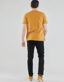 Timberland - SS KENNEBEC RIVER BRAND TREE TEE