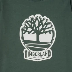 Timberland - T60422
