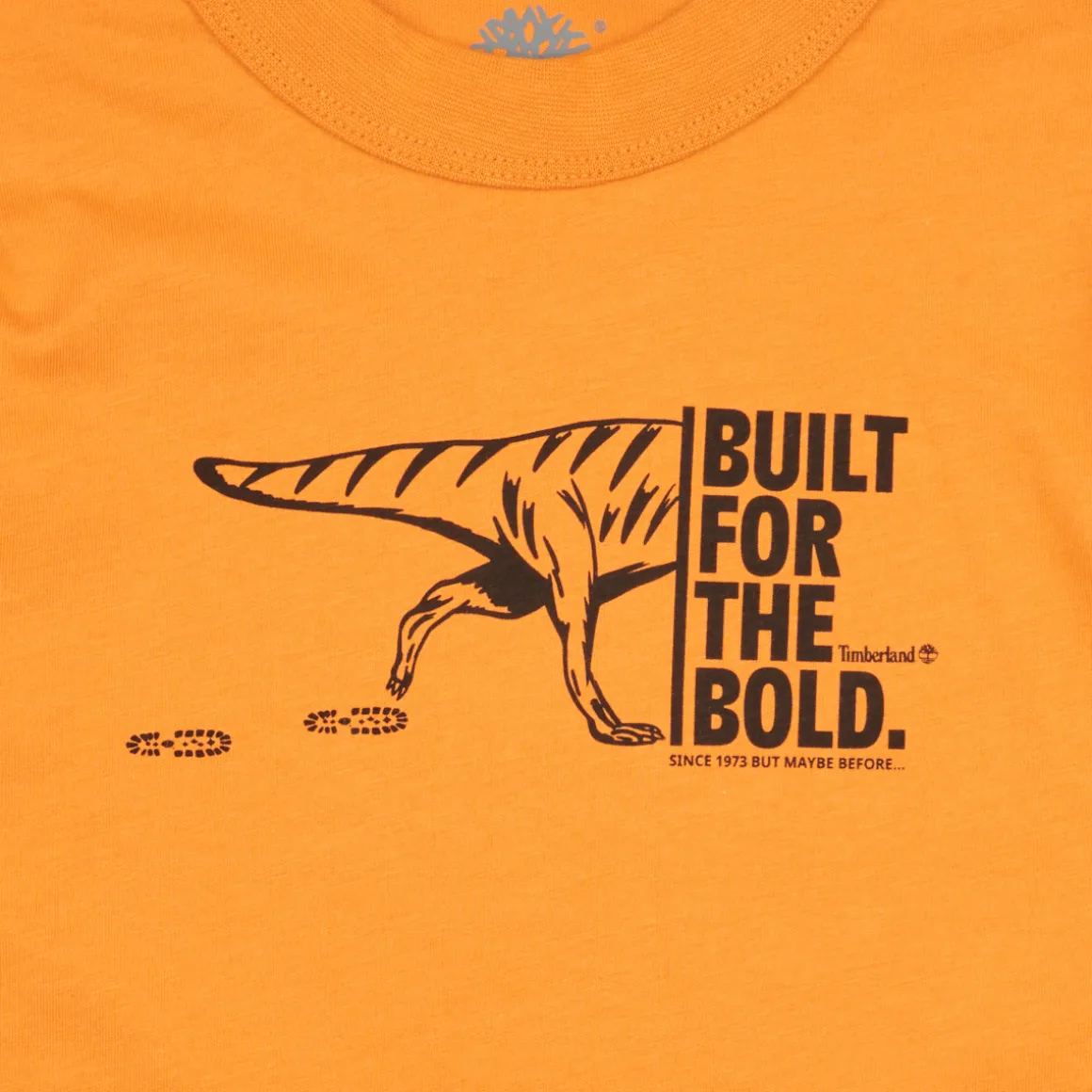 Timberland - TEE-SHIRT MANCHES LONGUES T60301