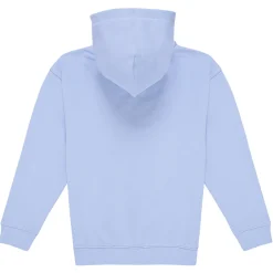 Tommy Hilfiger - U TIMELESS HOODIE