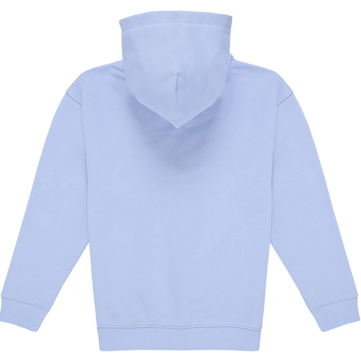 Tommy Hilfiger - U TIMELESS HOODIE