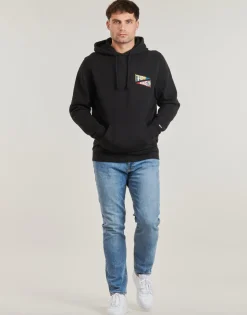 Tommy Jeans - TJM REG UNI FLAG TIGER HOODIE