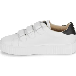 Vanessa Wu - LARISSA