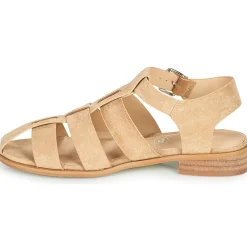 Vanessa Wu - SD2347CM