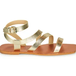 Vanessa Wu - SD2364OR