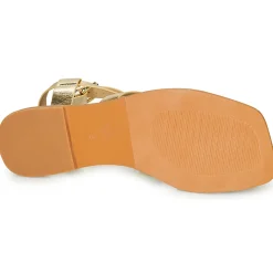 Vanessa Wu - SD2364OR