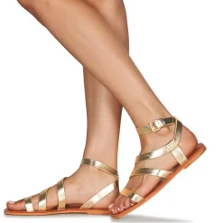 Vanessa Wu - SD2364OR