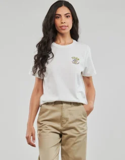 Vans - PAISLEY FLY BFF