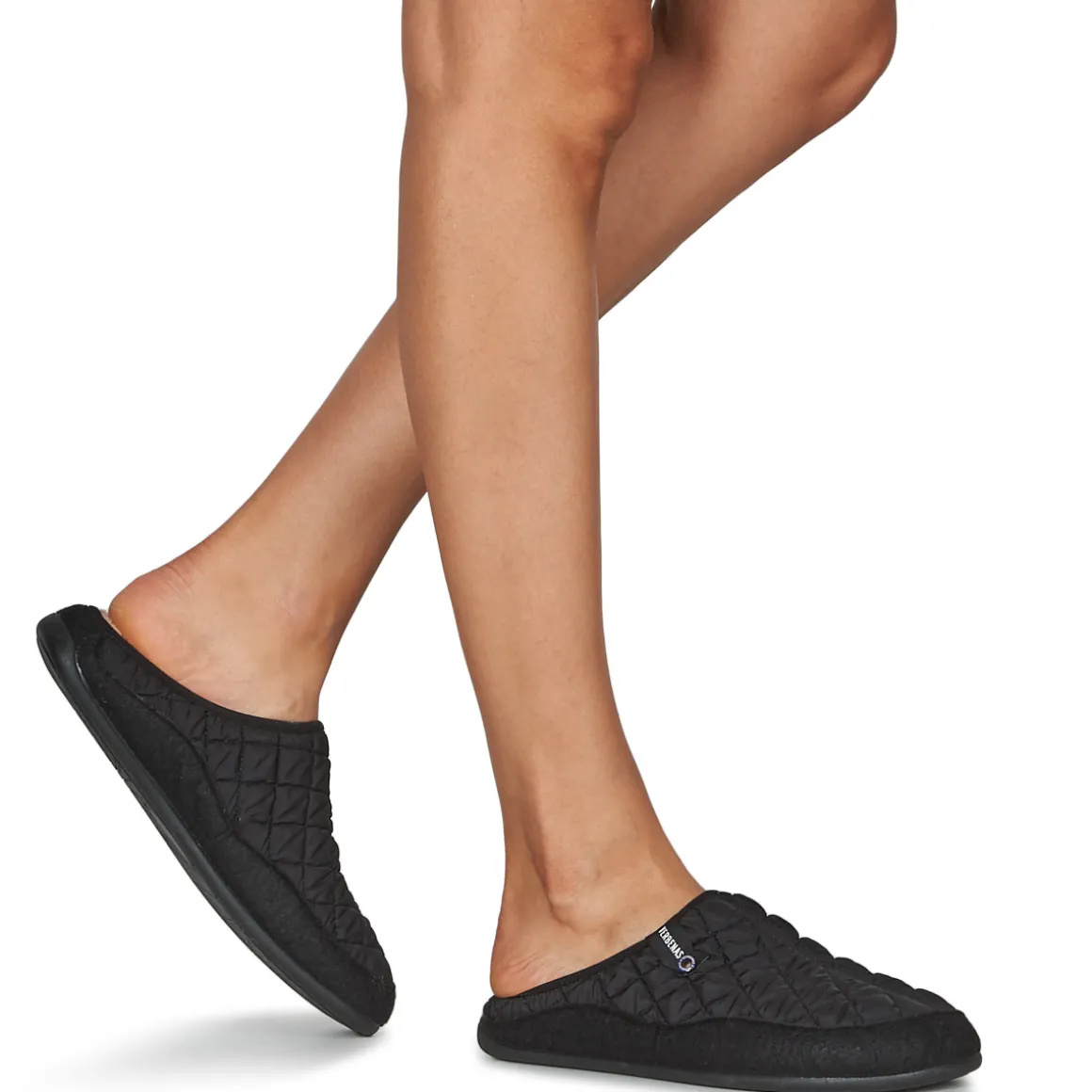 Verbenas - EARTH SAVENA