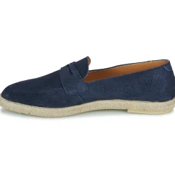 Verbenas - Kenia Serraje