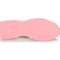 Victoria - COSMOS SERRAJE MULTICOLOR