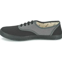 Victoria - INGLESA BICOLOR