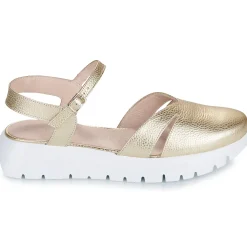 Wonders - A-2461-MAX-PLATINO