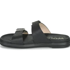 Wonders - B-7421-WILD