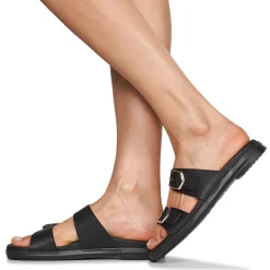 Wonders - B-7421-WILD